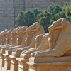Die Widderallee zur Tempelanlage Karnak/Luxor 