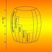 Der Boden enthält mehrere Puffer gegenüber Wasserstoff-Ionen.Sobald ein Puffer erschöpft ist, sinkt der ph-Wert bis zum nächsten Puffer ab. 