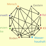 Beziehungsgefüge zwischen Faktoren eines Lebensbereichs 