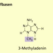 Methylierte Stickstoffbasen 