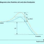 Durch Einsatz eines Katalysators wird die Aktivierungsenergie erniedrigt. 