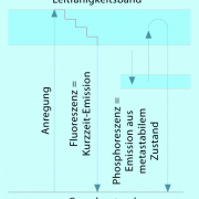 Nach Anregung in ein höheres Energieniveau kann Energie in unterschiedlichen Formen wieder abgegeben werden. 