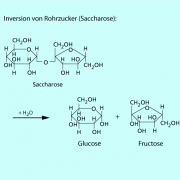 Inversion von Rohrzucker 