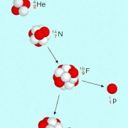 Beim Beschuss von Stickstoff-14 mit Alphateilchen erfolgt eine künstliche Kernumwandlung. Dabei entsteht zuerst Fluor-18, das in Sauerstoff-17 und ein Proton zerfällt. 
