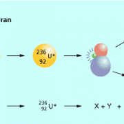 Allgemeiner Verlauf einer Kernspaltung am Beispiel von Uran 