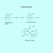 In der Biuret-Reaktion bilden Aminosäuren nach der Deprotonierunhg mit einer Base mit Cu(II)-Kationen einen tiefblau bis violett gefärbten Komplex. 