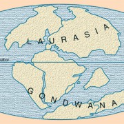 Die Urkontinente Gondwana und Laurasia vor etwa 150 Mio. Jahren. 