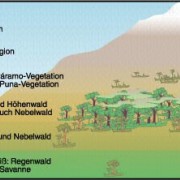 Höhenstufen des Klimas und der Vegetation 