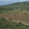 Die Steppen am Kerulen gehören zum Stammgebiet DSCHINGIS KHANS.