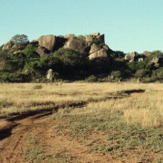 Inselberge, Felseninseln, die hier „Kopjes“ genannt werden, sind ein spezieller Lebensraum für Tiere und Pflanzen in der Serengeti. 