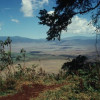 Blick vom südlichen Kraterrand des Ngorongoro auf die 600 m tiefer liegende Kratersohle 