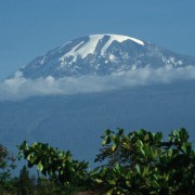 Blick aus der Savanne im Süden auf den Kilimandscharo (5892 m) mit seinen Gletschern und die typische, sich täglich gegen Mittag bei 3000 m bildende, Wolkendecke 