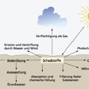 Funktionen Des Bodens In Geografie | Schülerlexikon | Lernhelfer