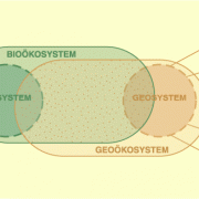 Überschneidung von Bio- und Geoökosystem 