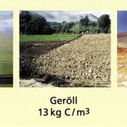 Kohlenstoffgehalt/m³ Boden in kg C/m³ 