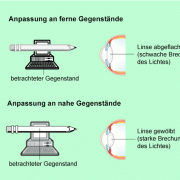 Auge In Physik | Schülerlexikon | Lernhelfer