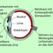 Beschreiben In Physik | Schülerlexikon | Lernhelfer