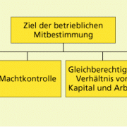 Betriebliche Mitbestimmung In Politik/Wirtschaft | Schülerlexikon ...